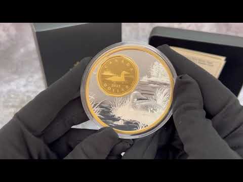 2022 Canada 5 oz Proof Silver The Bigger Picture - The Loon $1 Coin .9999 Fine
