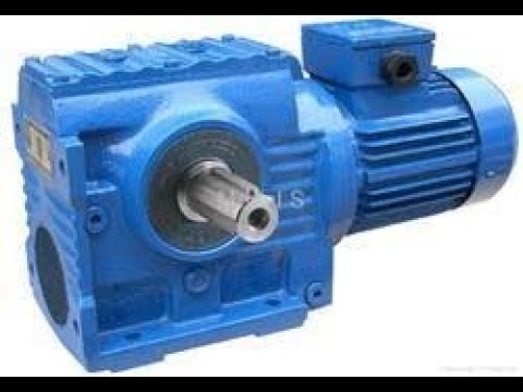 Worm geared motor bg series