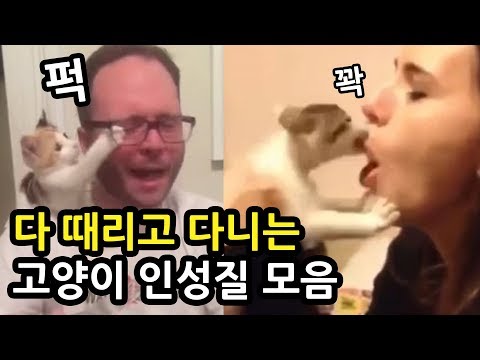 아이콘