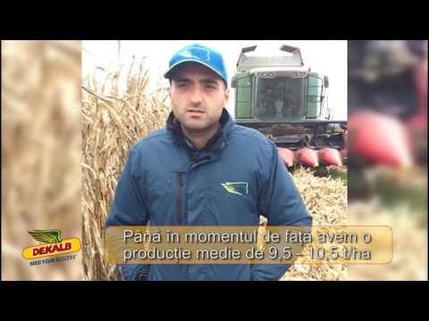 Testimonial DKC 4943, DKC 4717, DKC 5141-  Cosmin Filimon