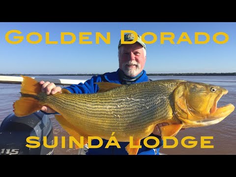 Suindá Lodge Experience in 1 minute