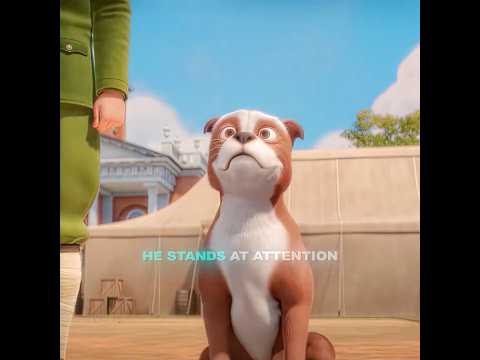 This Stray Dog Stood at Attention 😳 #shorts #dog #emotional