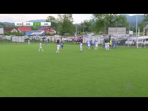 2 SNL Roltek  Dob - Ankaran