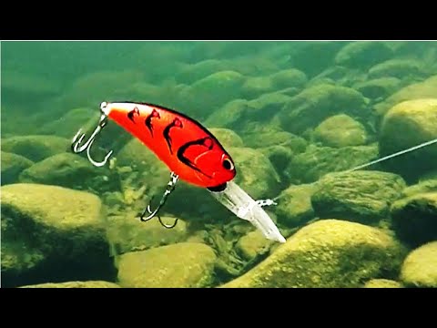 Lure Masterclass: How to use the Realis Crank G87 15A