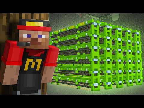 I Built a MASSIVE Kelp Farm Underground