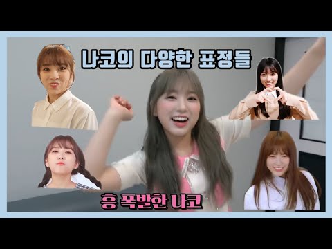 아이콘
