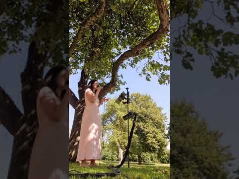 Tanja Hiller - Nur mit dir - Aneta (Cover) / Hochzeitssängerin /Sängerin