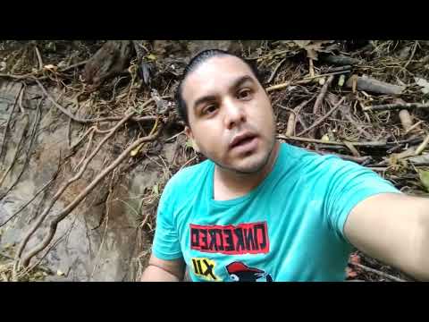 Conociendo la Cascada 9 de Octubre en San Isidro.