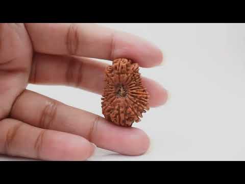 Rudraksha Product Image