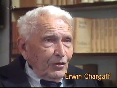 Grüße aus der Bukowina - Erinnerungen an eine Welt von Gestern (2 von 2)