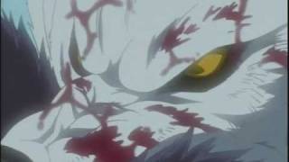 Wolf's Rain-"My Immortal"