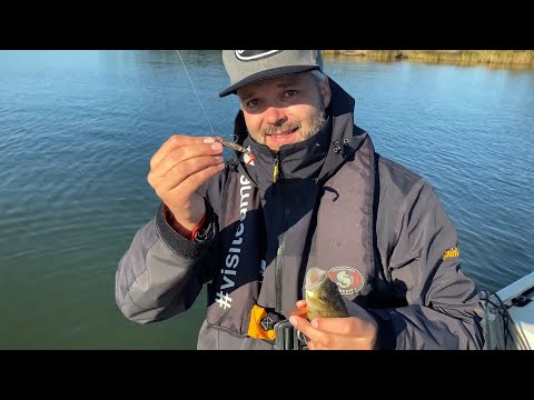 Näin Saat Enemmän AHVENIA Jigillä - Vinkit ja Tekniikat Parempaan Ahvensaaliiseen