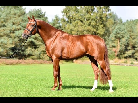 Von und Zu - Sieger HLP 2021