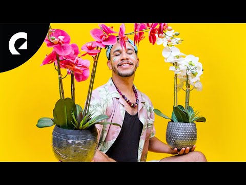 Lawd Ito - De Mi A Ti