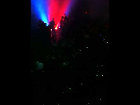 Bearracuda video