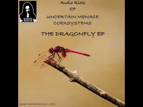 Uncertain Menace  -  Analog Abyssal Whisper  (live)  ( Audio Riots 07 )