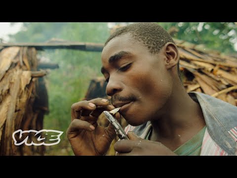 The Congolese Tribes Selling Weed to Survive | WEEDIQUETTE