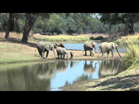 EPIC AFRICA: Zimbabwe Safari Highlights