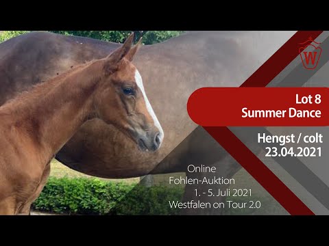 "Westfalen on Tour 2.0"-Auktion - Lot 8 Summer Dance v. So Unique - Totilas