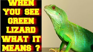 WHEN YOU SEE A GREEN LIZARD WHAT DOES IT MEAN ?