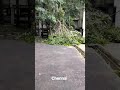 Chennai Rain Saturday Strom Cyclone Chennairains Today Reels Youtubeshorts