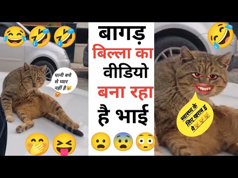Bagad Billa best comedy Video Part 50 / Instagram Funny Reels Video / Bagad Billa Video #bagadbilla