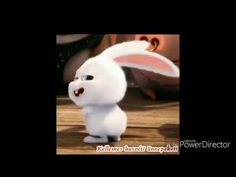 Húsvéti locsolo vers