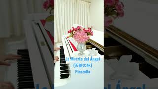 Download lagu La Muerte del Ángel(天使の死)/Piazzolla/short mp3 Download lagu La Muerte del Ángel(天使の死)/Piazzolla/short mp3