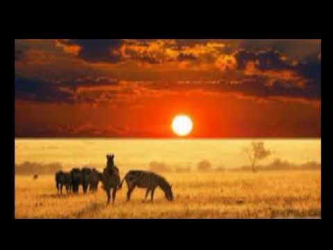 Mây hạ Sheet - Khánh Ly