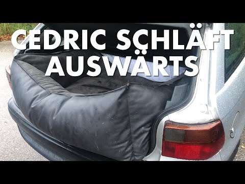 Cedric der Labrador - 178 | Cedric schläft auswärts