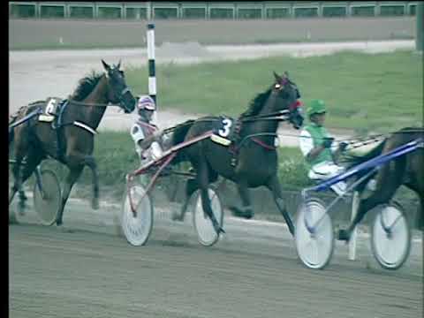 Trotto 17/09/2017 - 8ª corsa