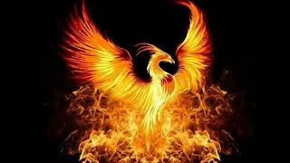 Paul Hardcastle - Flight Of The Phoenix