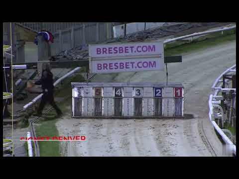 BGBF British Bred Derby Heat 1 - Signet Denver