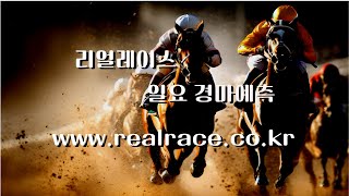 25년 11월 30일 일요일 서울경마  1경주