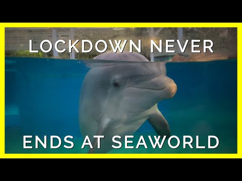 Lockdown Never Ends for SeaWorld’s Prisoners