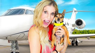 Surprising Our Dog With Private Jet After Surgery