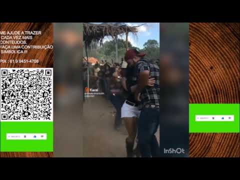 REVOADA PESADA - FORROZEIROS SEM LIMITES