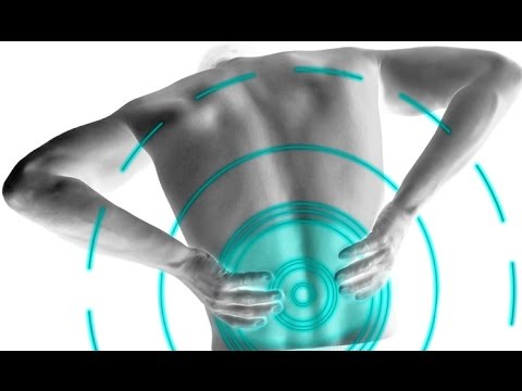Trattamento della colonna vertebrale in conigli Bodybuilder ginocchio