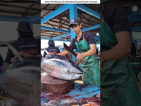 Tuna Fish Cutting 🐟🔪