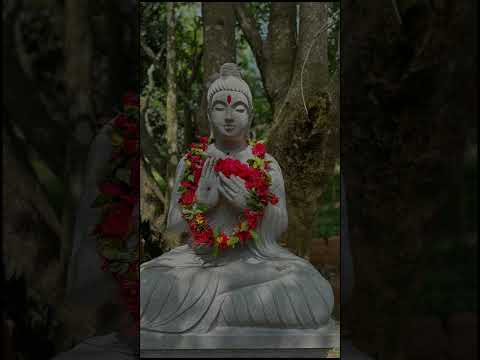 The Art of Spontaneity #yajna #hinduculture #sanatandharma #learninglessons