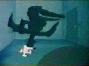 Sesame Street There S An Aligator In My Room