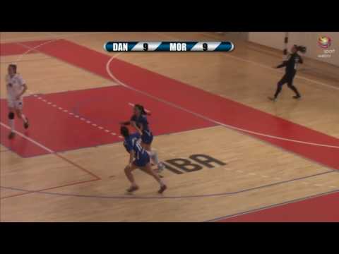 Elma Dervisevic Handball player CV