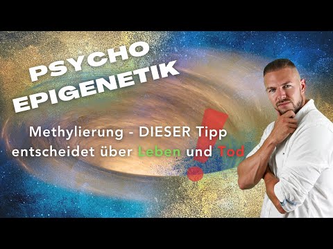 Methylkreislauf - Vermeide UNBEDINGT diesen Fehler!