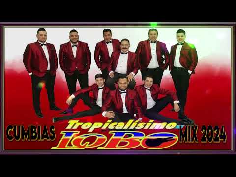 Tropicalisimo Lobo Mix Cumbias Para Bailar, 2024, 🧡🧡🧡 Sus Mejores Canciones 🧡🧡🧡