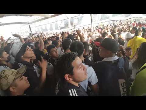 "Garra Blanca en Arica,  Soy de Arellano - Colo Colo (2) vs Alianza Lima (1)  Libertadores 2022" Barra: Garra Blanca &bull; Club: Colo-Colo