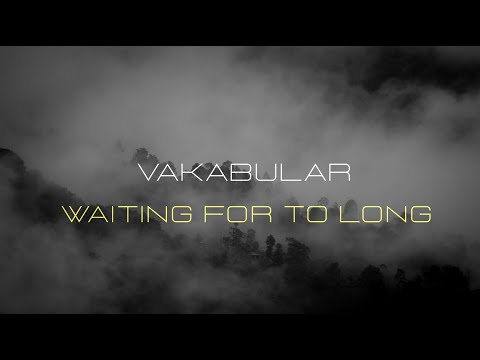 Vakabular - Waiting For Too Long [Hollystone Records] (Visual)