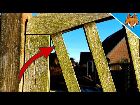 SO kannst du Grünbelag von Holz entfernen 💥 (Einfacher geht es NICHT) 🤯