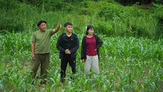 Download lagu Pao and Ha went looking for land to buy — Did they find a plot they liked? mp3