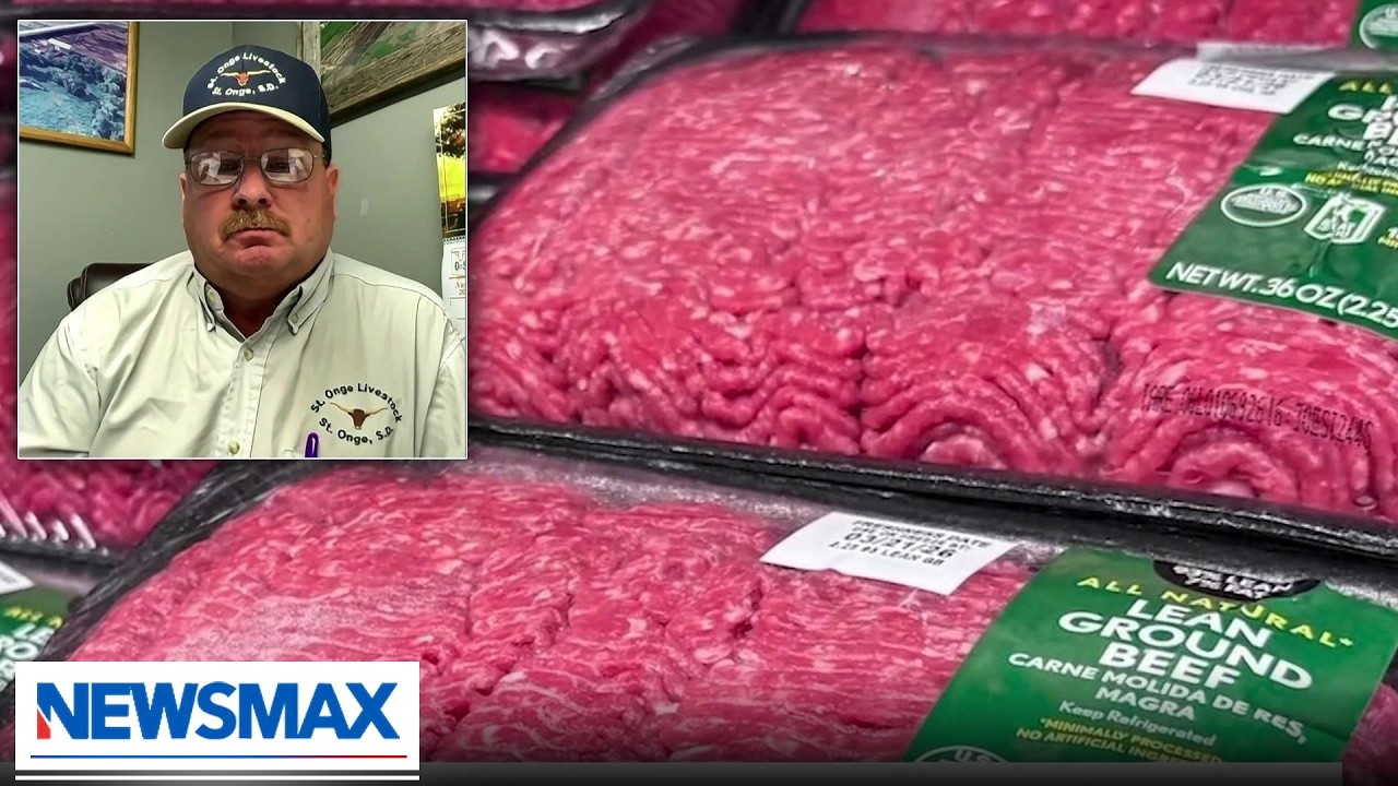 Cattleman President: The American rancher can be profitable | Bianca Across The Nation
