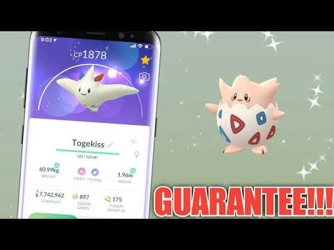 Shiny *TOGEKISS* on Pokemon Go | This time Guaranteed shiny Togetic in pokemon go
